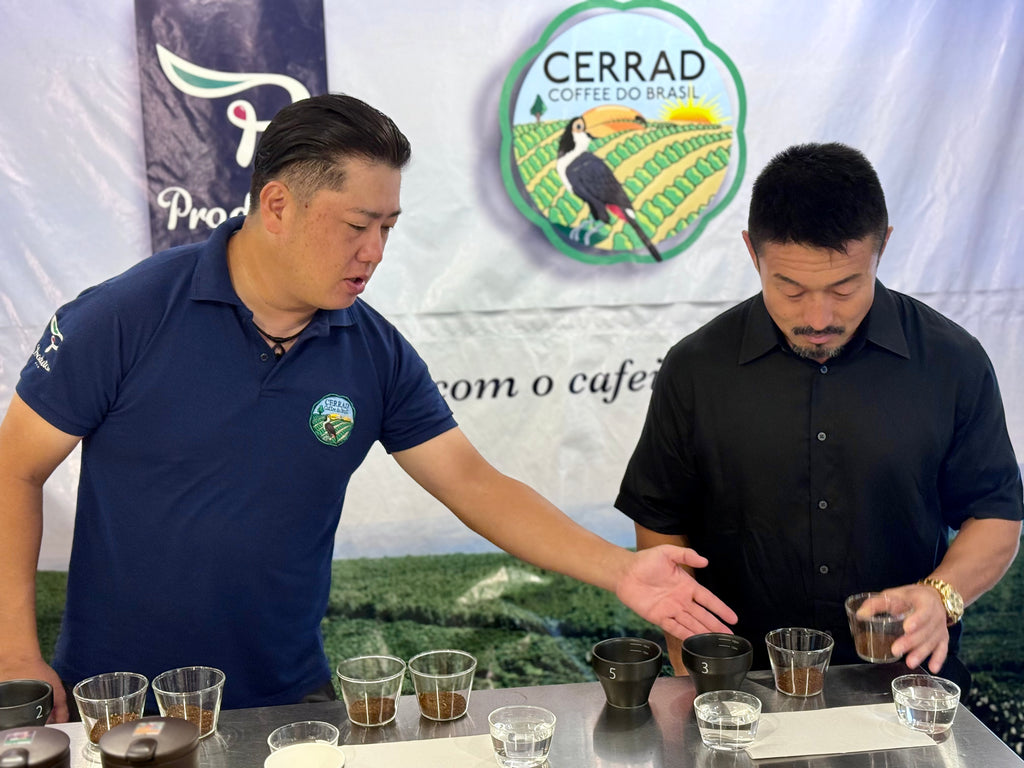 佐藤慎太郎 × セラード 特別ブレンド水出し珈琲パック（5パック）