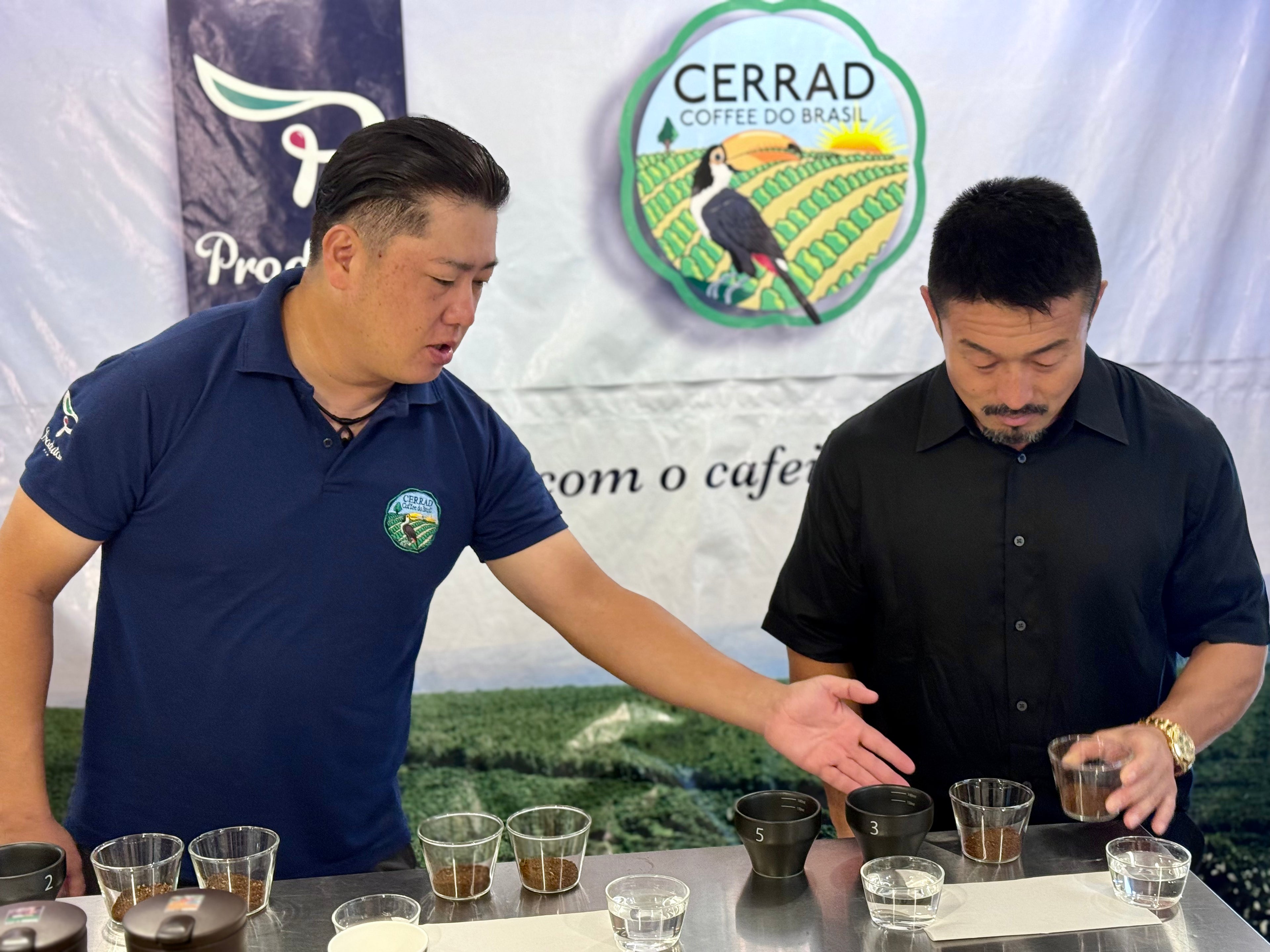 佐藤慎太郎 × セラード 特別ブレンド水出し珈琲パック（5パック）